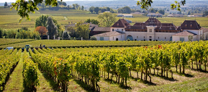 Château Angélus, domaine emblématique de Saint-Émilion, reconnu pour ses grands vins et son terroir d'exception